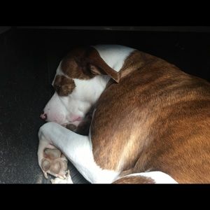 Meet your Posher, Jaiden